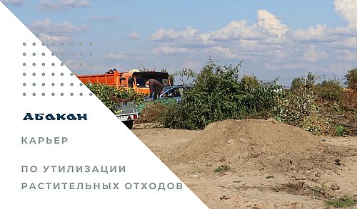 Фото предоставлено пресс-службой Администрации Абакана